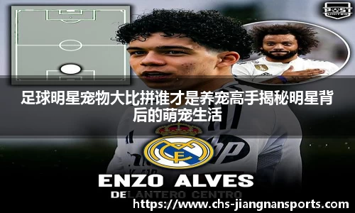 足球明星宠物大比拼谁才是养宠高手揭秘明星背后的萌宠生活